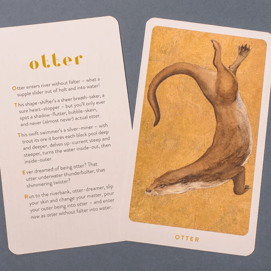 The Lost Words Game - Kosmos