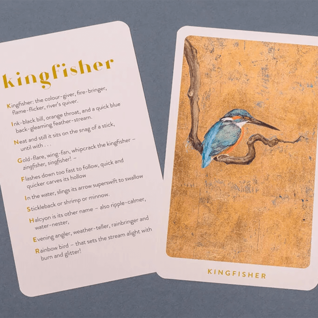 The Lost Words Game - Kosmos