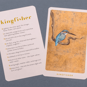 The Lost Words Game - Kosmos