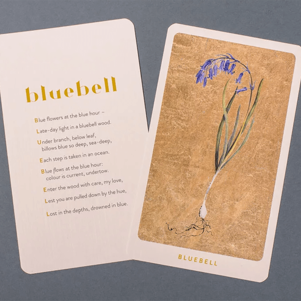 The Lost Words Game - Kosmos