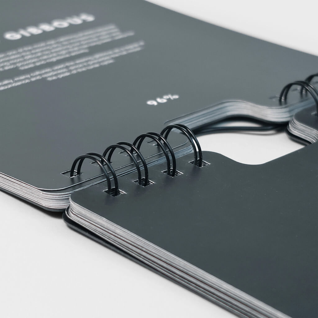 Lunar Flip: Perpetual Moon-Phases Calendar