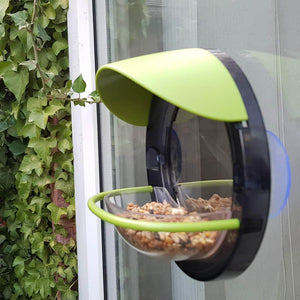 Bird Window Feeder - My Living World