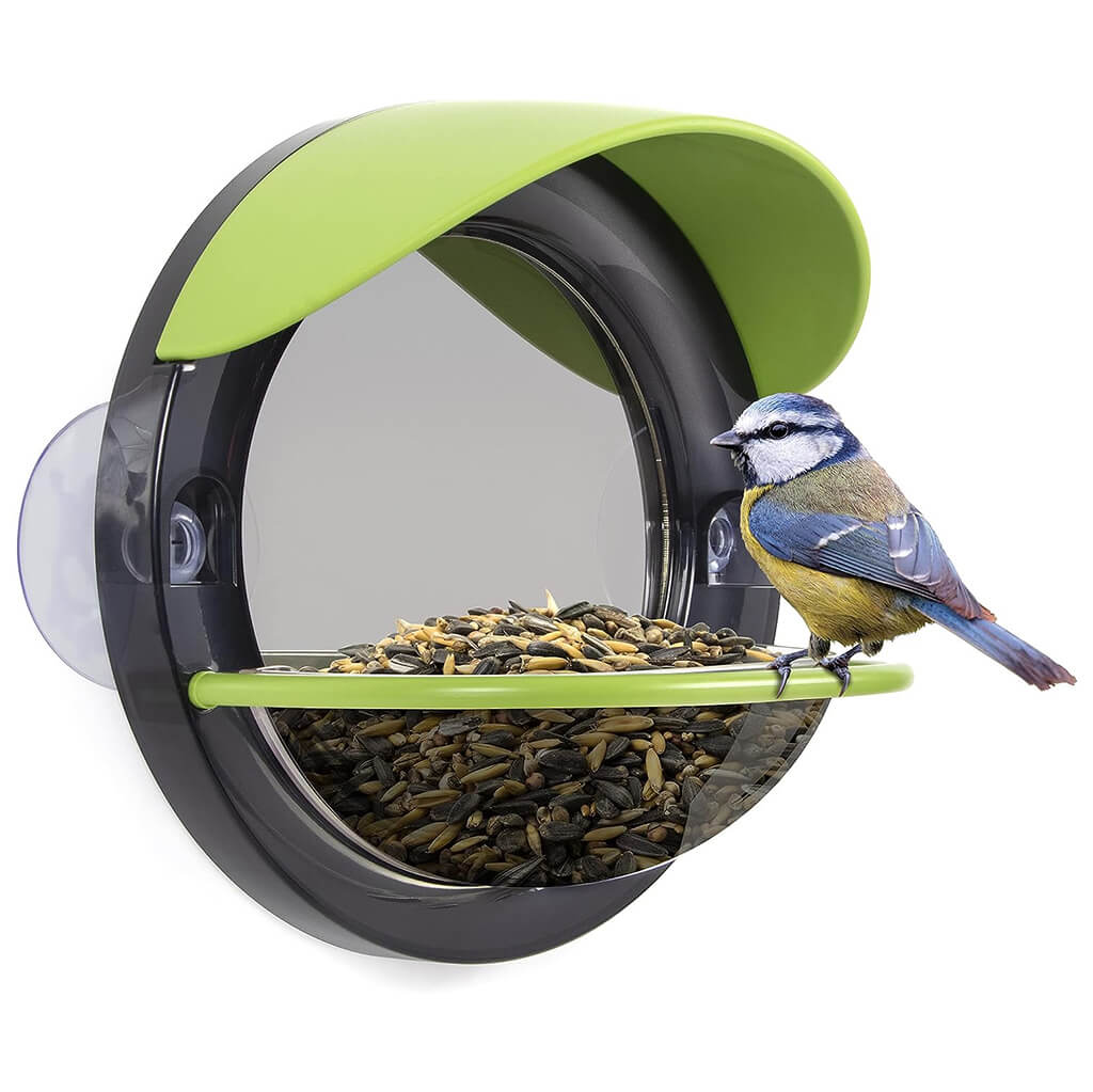 Bird Window Feeder - My Living World
