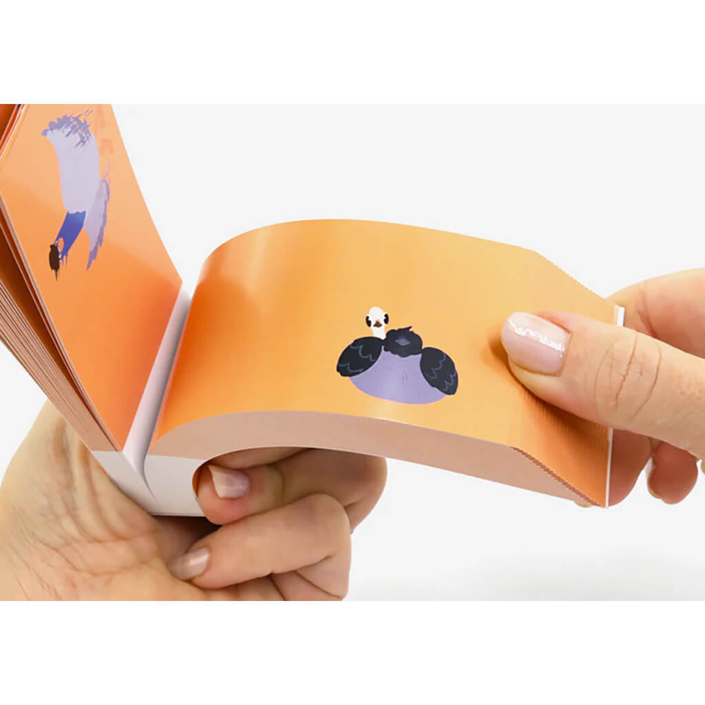 Pigeons (Palomas): A Cinemagic Flipbook - Flipboku