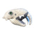 Sabre-Toothed Tiger (Smilodon) Skull Soft Toy - Giant Microbes (Fuzzy Fossils)