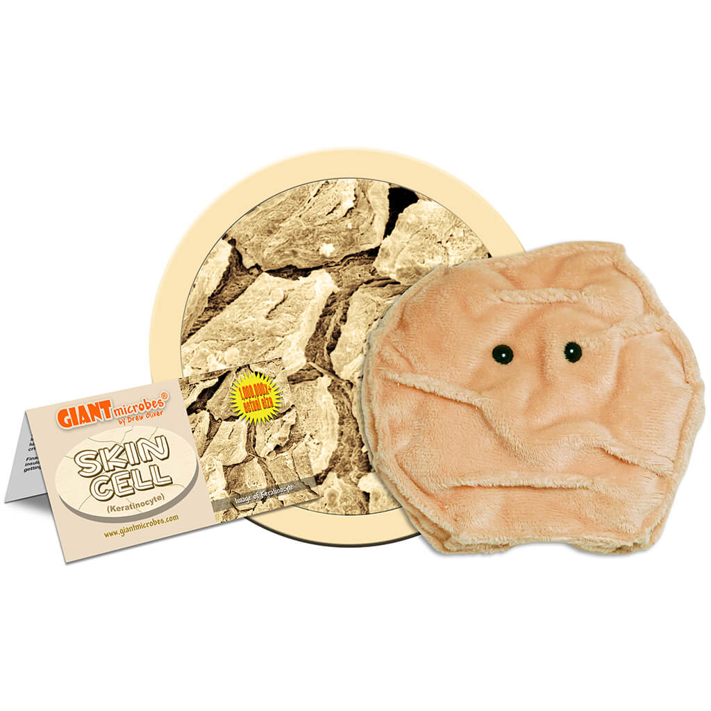 Skin Cell (Keratinocyte) Soft Toy - Giant Microbes