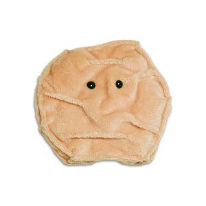 Skin Cell (Keratinocyte) Soft Toy - Giant Microbes