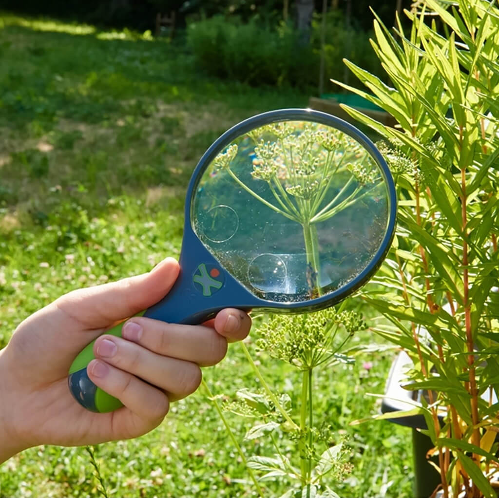 Terra Kids Magnifying Glass - Haba