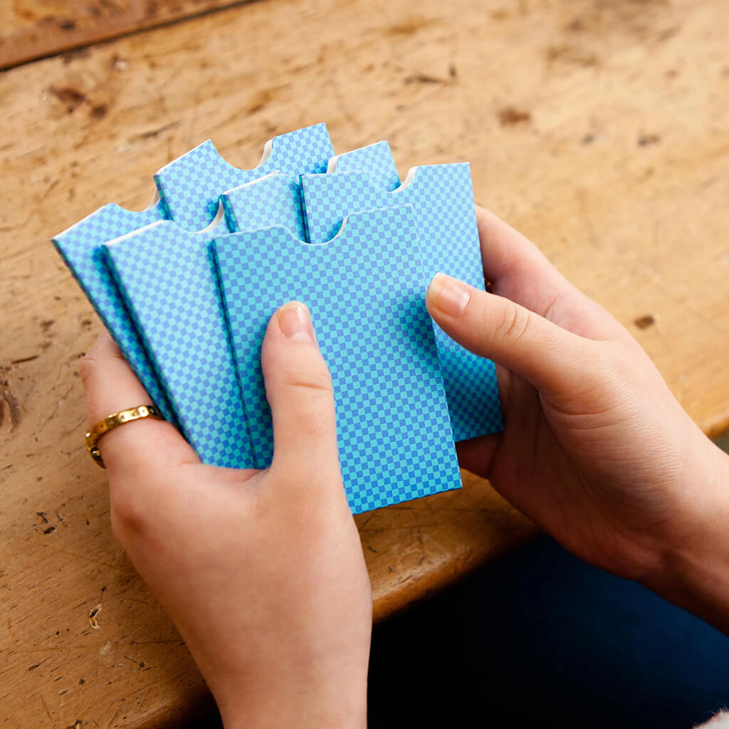 The Chameleon: Picture Edition - Big Potato