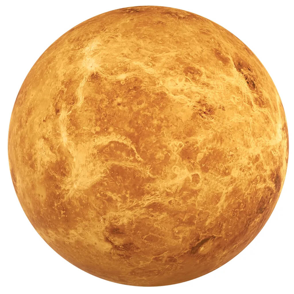 Venus Placemat
