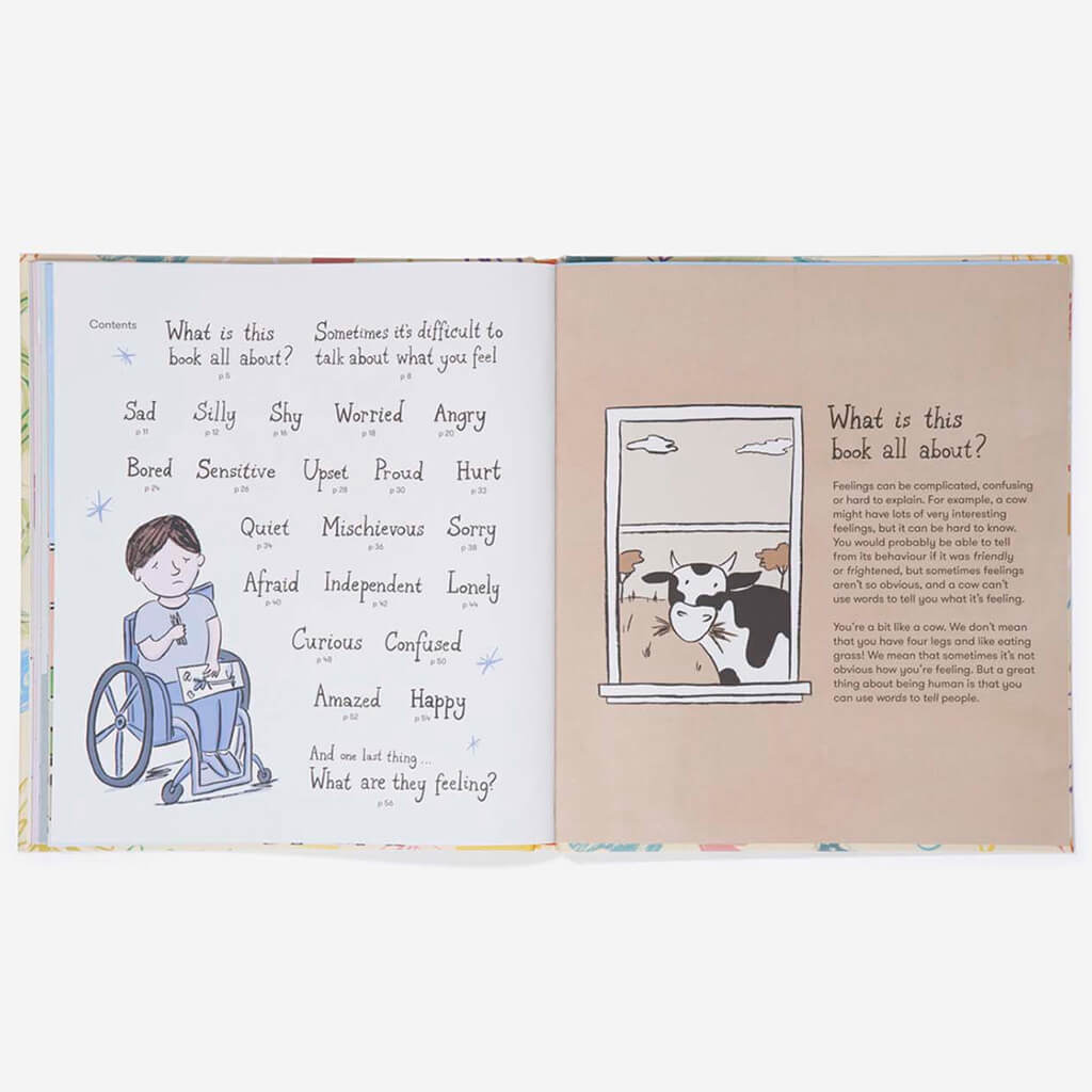 What Are You Feeling? A Picture Book of Your Emotions - The School of Life (Hardback)