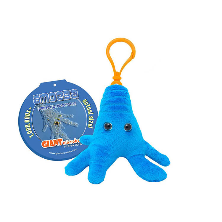 Amoeba Key Ring - Giant Microbes