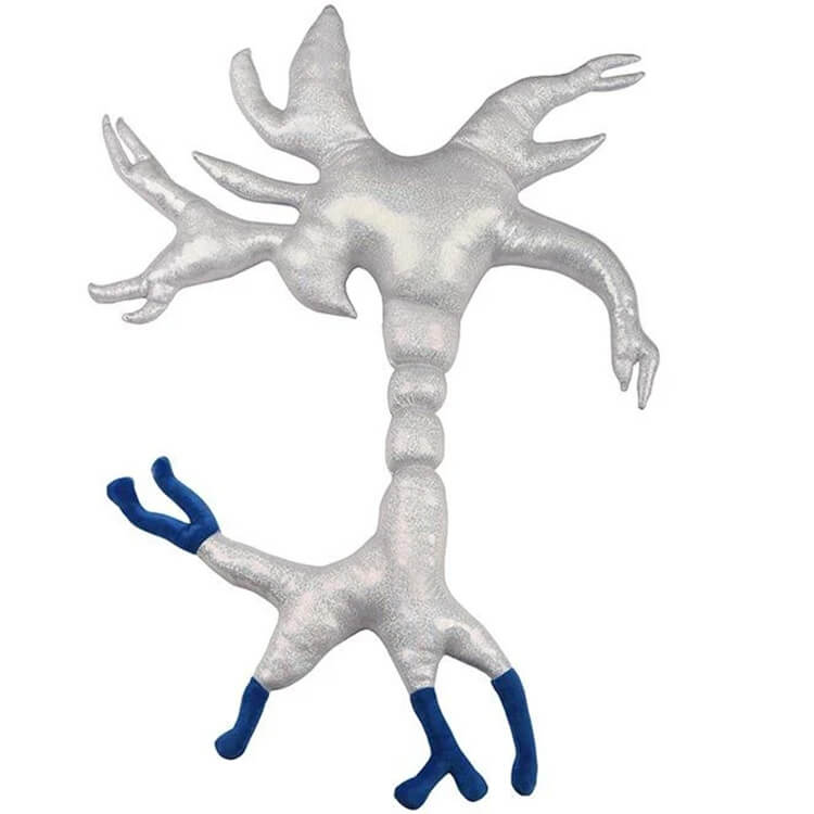 Gigantic Brain Cell (Neuron) Soft Toy - Giant Microbes