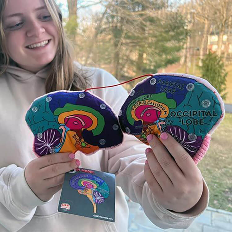 Brain Model Soft Toy - Giant Microbes