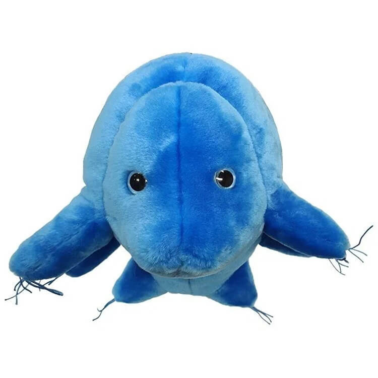 Gigantic Waterbear (Tardigrade) Soft Toy - Giant Microbes