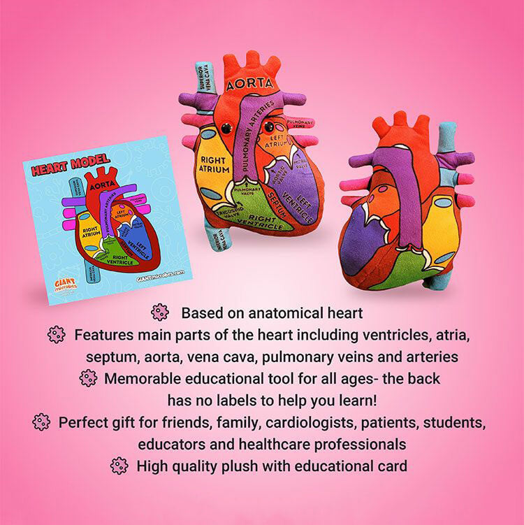 Heart Model Soft Toy - Giant Microbes
