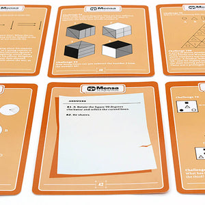 Mensa Riddles and Conundrums Cards - Ginger Fox