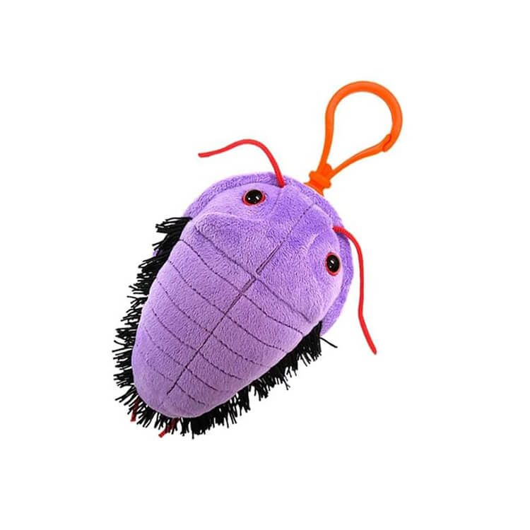 Trilobite (Asaphiscus Wheeleri) Key Ring - Giant Microbes