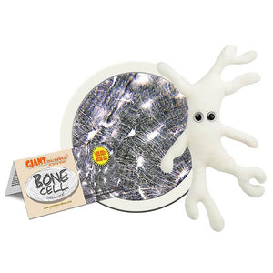 Bone Cell (Osteocyte) Soft Toy - Giant Microbes