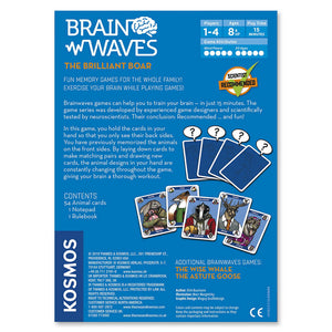 Brainwaves: The Brilliant Boar Memory Game - Steam Rocket