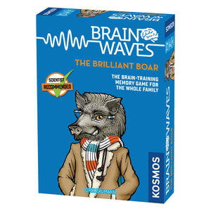 Brainwaves: The Brilliant Boar Memory Game - Steam Rocket