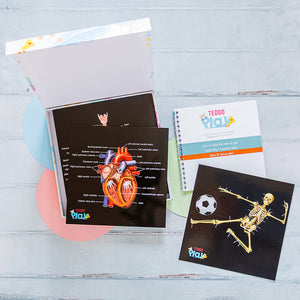 Human Anatomy Learning Cards - Teddo Play