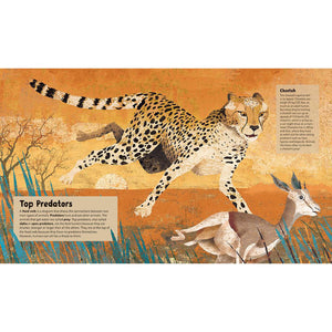 Incredible Animals - Barefoot Books (Hardback)