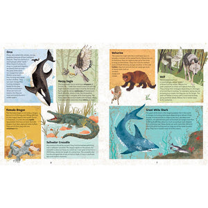 Incredible Animals - Barefoot Books (Hardback)