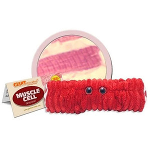 Muscle Cell (Myocyte) Soft Toy - Giant Microbes