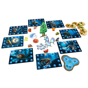 Photosynthesis: Under the Moonlight Expansion - Blue Orange
