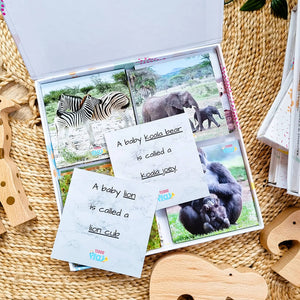 Animals and their Babies Learning Cards - Teddo Play