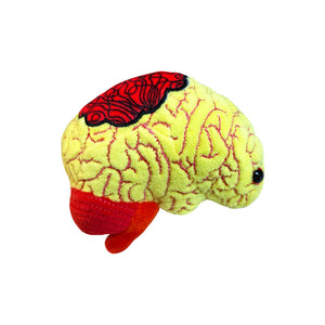Anxiety Brain Soft Toy - Giant Microbes