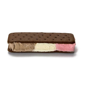 Astronaut Food: Neapolitan Ice Cream Sandwich