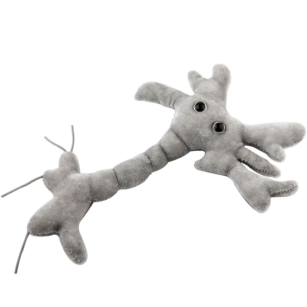 Gigantic Brain Cell (Neuron) Soft Toy - Giant Microbes