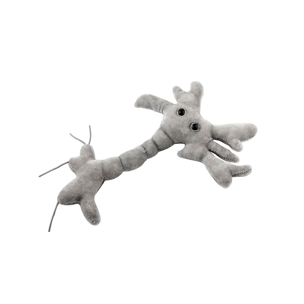 Brain Cell (Neuron) Soft Toy - Giant Microbes