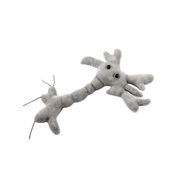 Brain cell plush discount