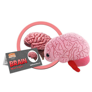 Brain Soft Toy - Giant Microbes