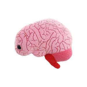 Brain Soft Toy - Giant Microbes