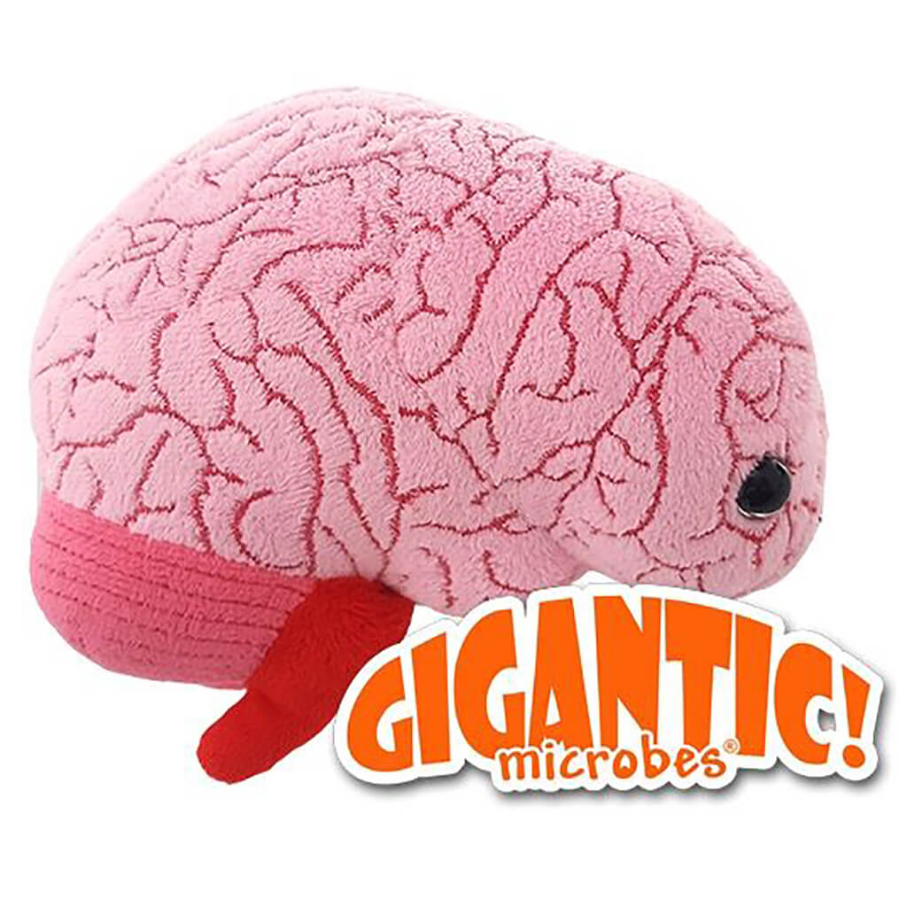 Gigantic Brain Soft Toy - Giant Microbes