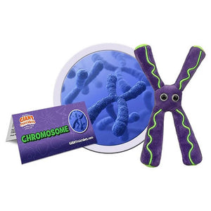 Chromosome Soft Toy - Giant Microbes