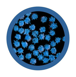 Common Cold (Rhinovirus) Soft Toy - Giant Microbes