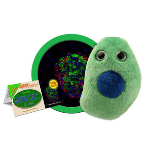 Diabetes Beta Cell Soft Toy with Insulin Hormone Model - Giant Microbes