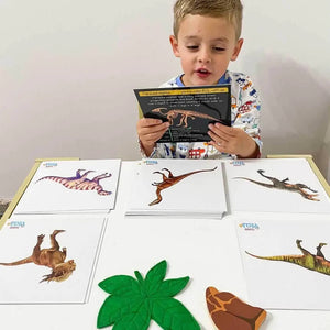 Dinosaurs: From Flesh To Bones Learning Cards (Collector's Edition) - Teddo Play