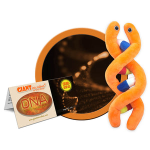 DNA Deoxyribonucleic Acid Soft Toy Giant Microbes Steam Rocket