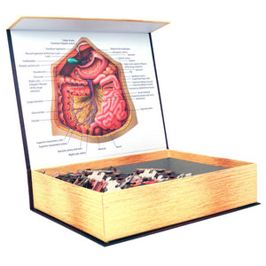 Dr Livingston's Anatomy 502-Piece Jigsaw Puzzle: The Human Abdomen - Genius Games