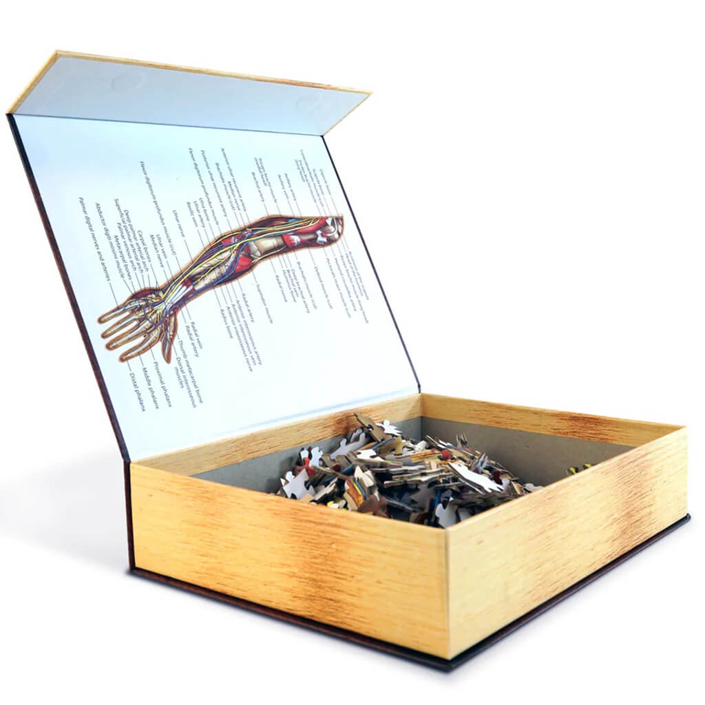 Dr Livingston's Anatomy 472-Piece Jigsaw Puzzle: The Human Left Arm - Genius Games