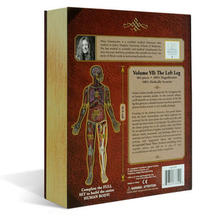 Dr Livingston's Anatomy 864-Piece Jigsaw Puzzle: The Human Left Leg - Genius Games