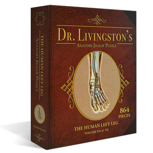 Dr Livingston's Anatomy 864-Piece Jigsaw Puzzle: The Human Left Leg - Genius Games