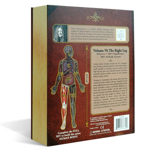 Dr Livingston's Anatomy 848-Piece Jigsaw Puzzle: The Human Right Leg - Genius Games