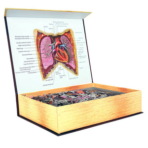 Dr Livingston's Anatomy 500-Piece Jigsaw Puzzle: The Human Thorax - Genius Games